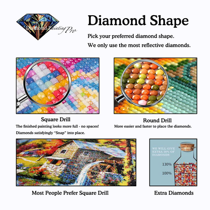 Flying House | Diamond Painting 5
