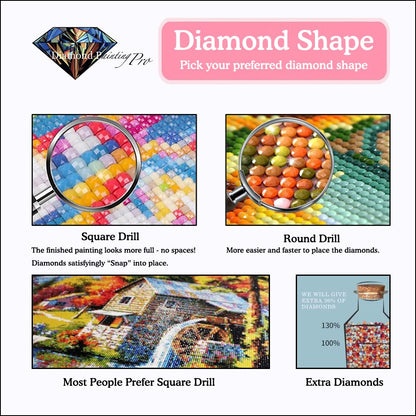 Flying House | Diamond Painting